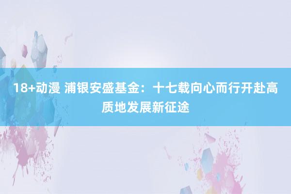 18+动漫 浦银安盛基金：十七载向心而行开赴高质地发展新征途