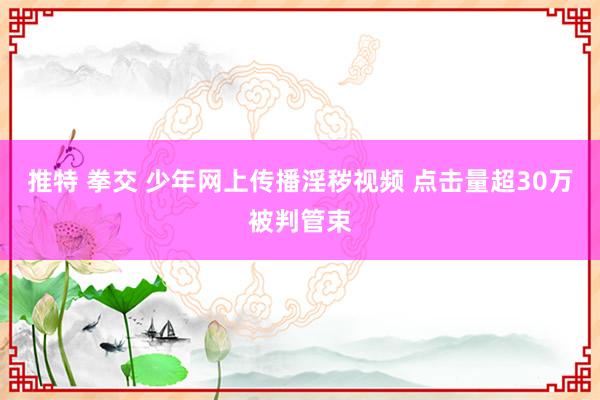 推特 拳交 少年网上传播淫秽视频 点击量超30万被判管束