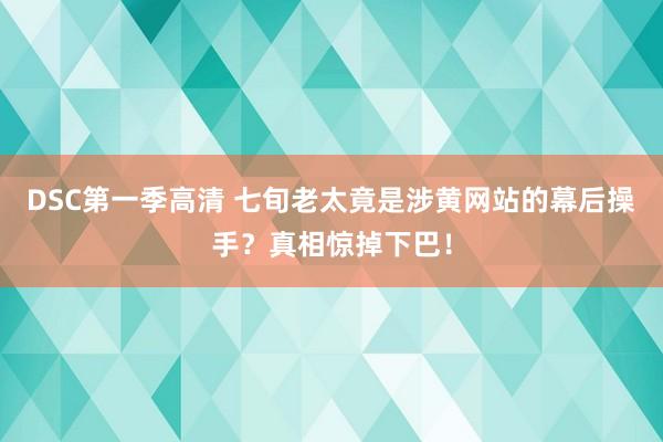 DSC第一季高清 七旬老太竟是涉黄网站的幕后操手？真相惊掉下巴！