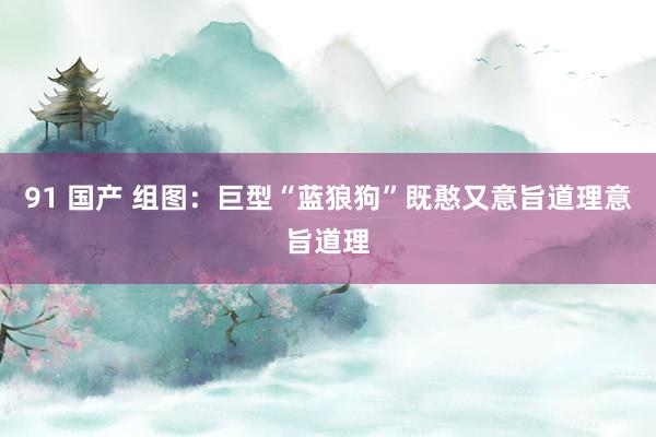 91 国产 组图：巨型“蓝狼狗”既憨又意旨道理意旨道理