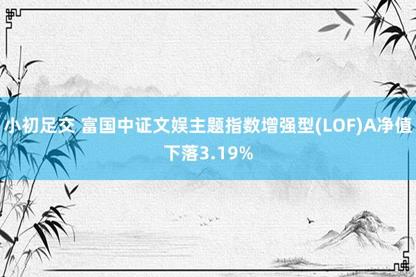 小初足交 富国中证文娱主题指数增强型(LOF)A净值下落3.19%