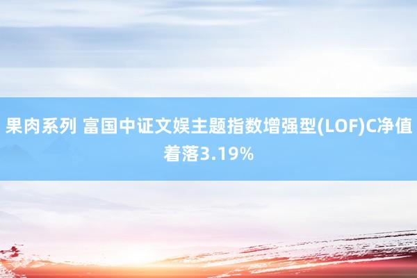 果肉系列 富国中证文娱主题指数增强型(LOF)C净值着落3.19%