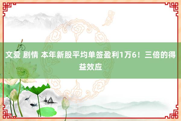 文爱 剧情 本年新股平均单签盈利1万6！三倍的得益效应