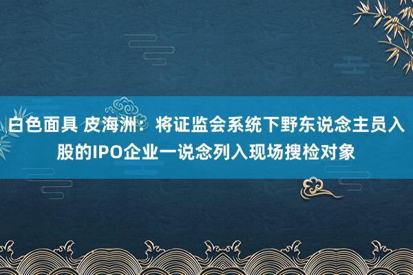 白色面具 皮海洲：将证监会系统下野东说念主员入股的IPO企业一说念列入现场搜检对象