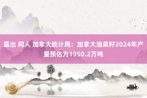 露出 同人 加拿大统计局：加拿大油菜籽2024年产量预估为1950.2万吨