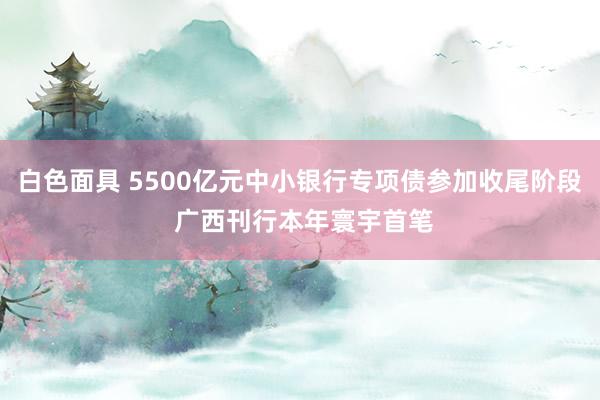 白色面具 5500亿元中小银行专项债参加收尾阶段 广西刊行本年寰宇首笔