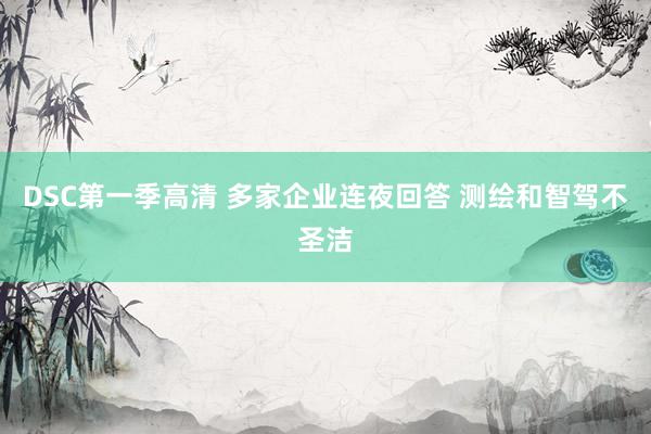DSC第一季高清 多家企业连夜回答 测绘和智驾不圣洁