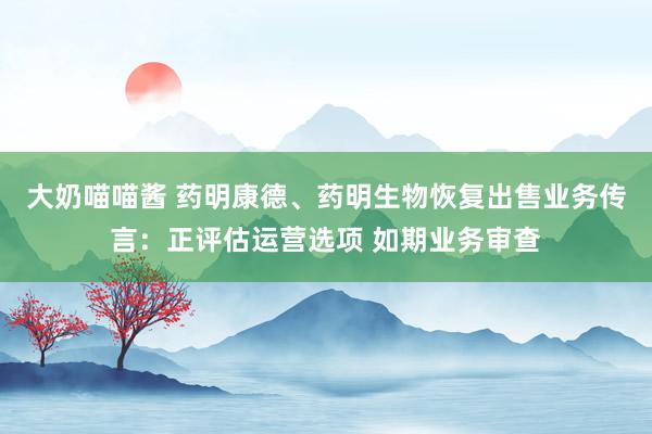 大奶喵喵酱 药明康德、药明生物恢复出售业务传言：正评估运营选项 如期业务审查