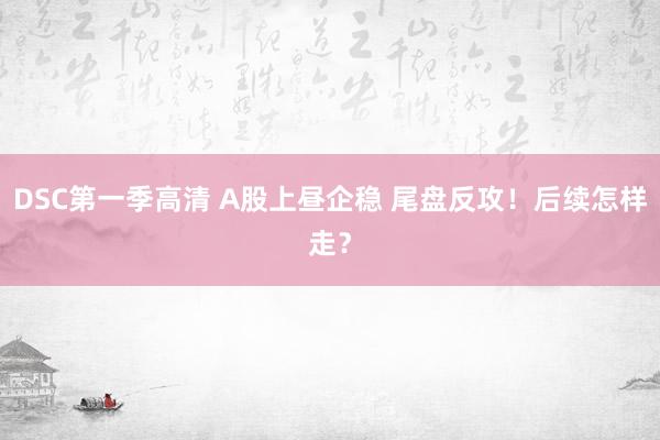 DSC第一季高清 A股上昼企稳 尾盘反攻！后续怎样走？