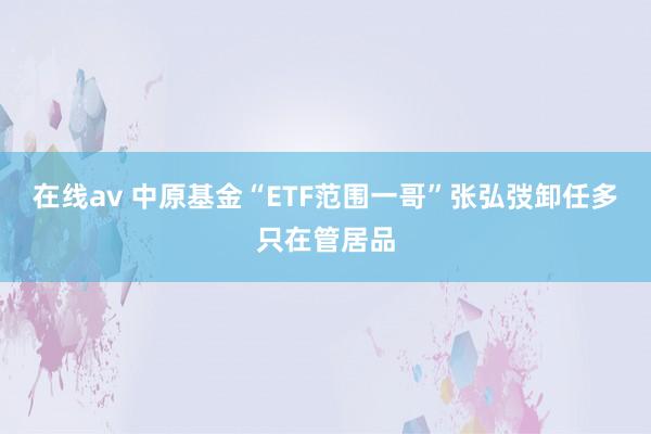 在线av 中原基金“ETF范围一哥”张弘弢卸任多只在管居品