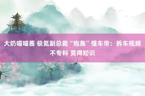大奶喵喵酱 极氪副总裁“炮轰”懂车帝：拆车视频不专科 莫得知识