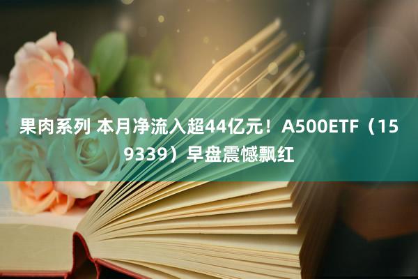 果肉系列 本月净流入超44亿元！A500ETF（159339）早盘震憾飘红