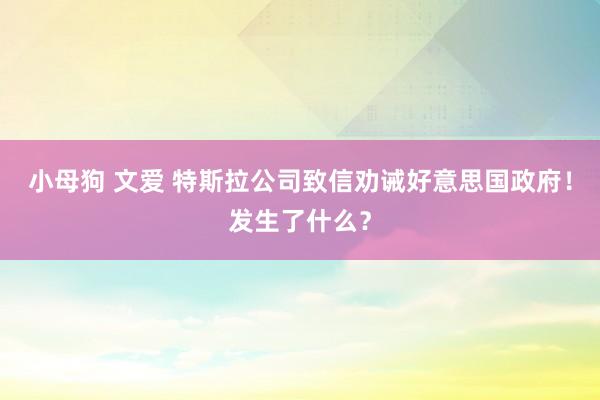 小母狗 文爱 特斯拉公司致信劝诫好意思国政府！发生了什么？