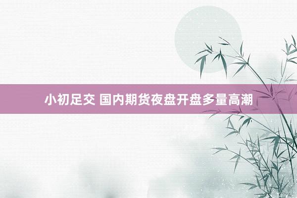 小初足交 国内期货夜盘开盘多量高潮