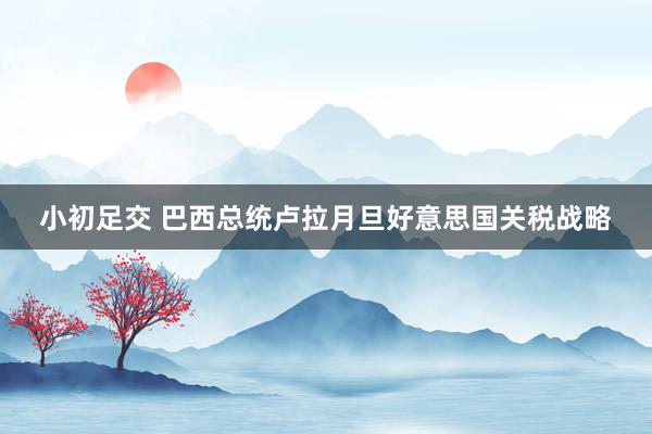 小初足交 巴西总统卢拉月旦好意思国关税战略
