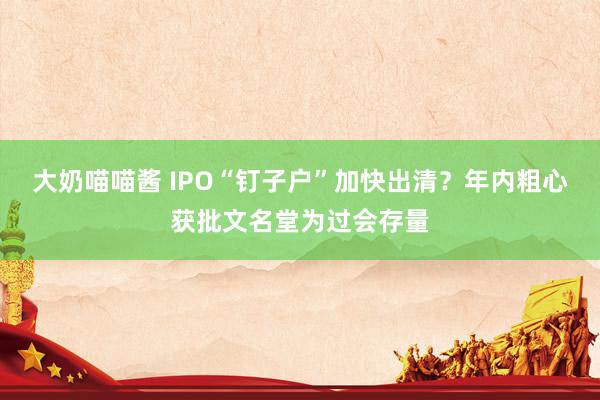 大奶喵喵酱 IPO“钉子户”加快出清？年内粗心获批文名堂为过会存量